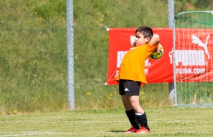 mini_em12
