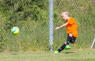 mini_em16