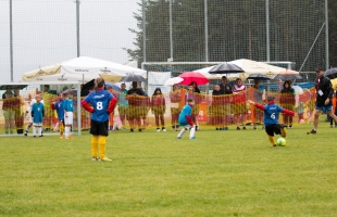 mini_em173