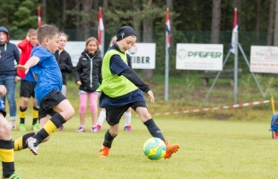 mini_em176