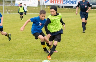mini_em178