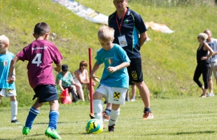 mini_em21