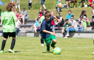mini_em34