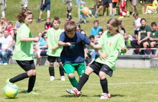 mini_em35