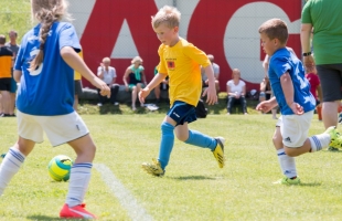 mini_em67