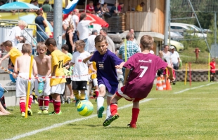 mini_em79