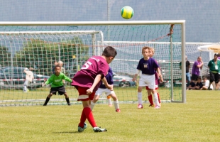 mini_em82